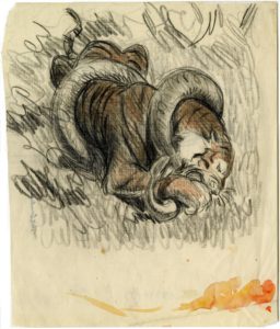 crayon_tigre_serpent_001-rectobis